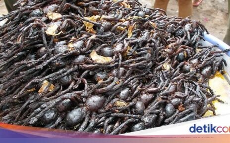 Terungkap! 10 Negara dengan Makanan Paling Tidak Enak Menurut Turis