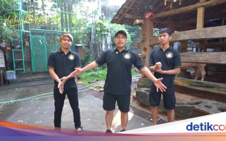 Potret Irfan Hakim dan 8 Sapinya, Si 'Klentang Klentung' hingga 'Janoko'