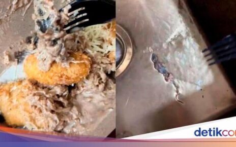 Jijik! Beli Pisang Goreng Keju Tiramisu Dapat 'Topping' Cicak Utuh
