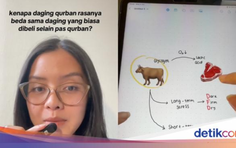 Kenapa Ya Daging Kurban Rasanya Beda dari Daging Biasa?