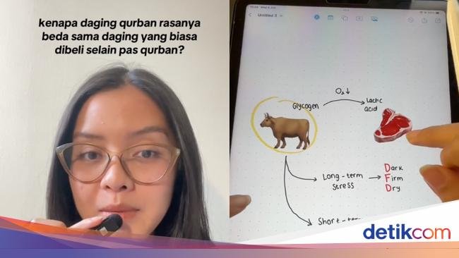 Kenapa Ya Daging Kurban Rasanya Beda dari Daging Biasa?