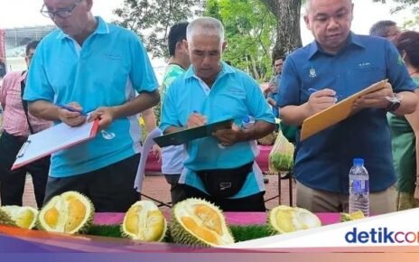 Meriah! Festival Durian Ini Ajak 1.000 Orang Makan Sepuasnya