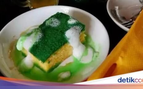 Gokil! Puding 'Realistis' Mirip Spons Cuci Piring Asli
