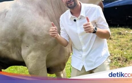 Masya Allah! Raffi Ahmad Kurban 22 Sapi dan 90 Kambing