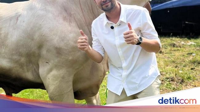 Masya Allah! Raffi Ahmad Kurban 22 Sapi dan 90 Kambing
