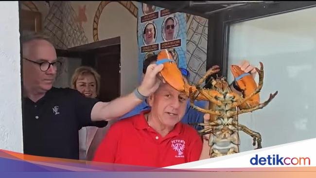 Resto Ini Lepaskan 'Maskot' Lobster Berusia 110 Tahun ke Laut