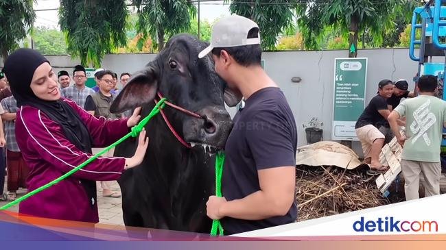 Haru! Momen Perpisahan Sonny Septian dan Fairuz dengan Sapi Kurban 1,2 Ton