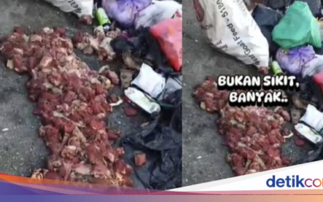 Sedih! Hampir 20 Kg Daging Kurban Tergeletak di Dekat Pembuangan Sampah