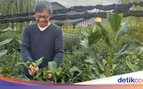Seru! Ada Taman Hiburan untuk Belajar Teh Langsung di Kyoto