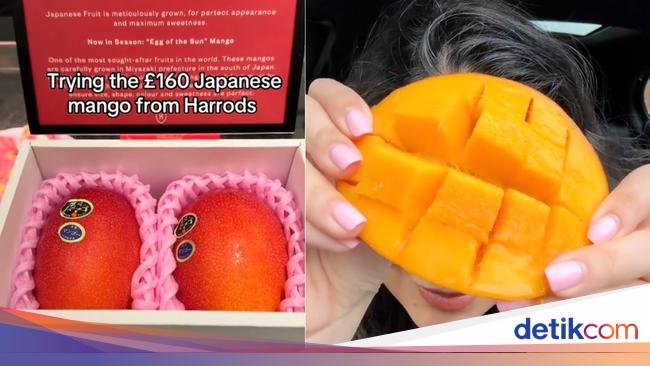 Wah! Rasa Mangga Jepang Seharga Rp 3,5 Juta Bikin Takjub