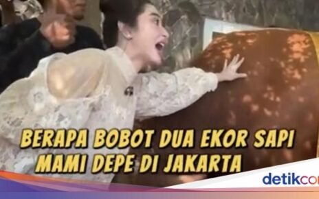 Wow! Dewi Persik Kurban 17 Ekor Sapi dan Ikut Potong Daging