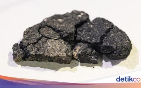 Wow! Roti Berusia 5.000 Tahun Ini Masih Awet di dalam Tanah