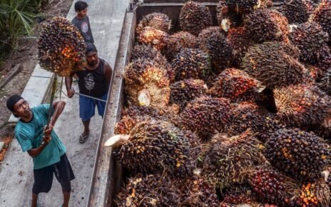 Ekspor Batu Bara RI Anjlok, CPO dan Turunan Melambung per Mei 2025