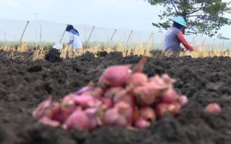 Kisah Kelompok Tani Watuwungkuk Naik Kelas Berkat Sentuhan BI Malang