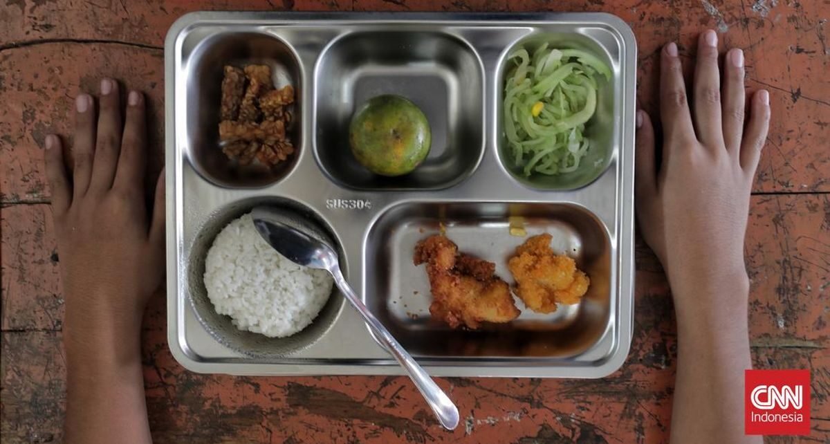 Bos Badan Gizi Ungkap Alasan Food Tray MBG Pakai Produk Impor