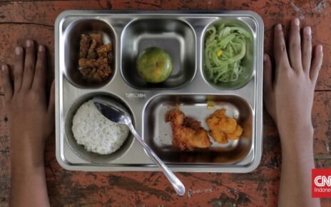 Bos Badan Gizi Ungkap Alasan Food Tray MBG Pakai Produk Impor