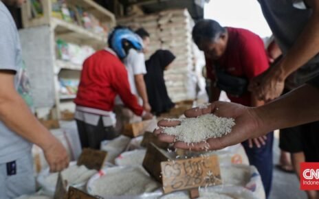 Harga Beras Naik di 178 Daerah