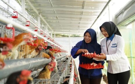 Perkuat Ekonomi dan Pangan, PNM Bagikan 240 Ekor Ayam Petelur