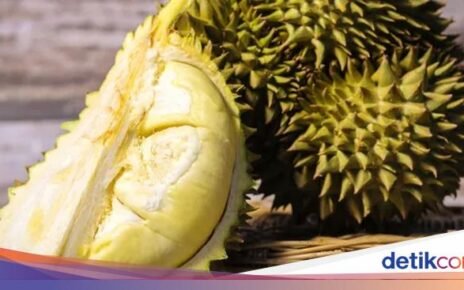 10 Durian Legit Asal Thailand yang Diburu Penggemarnya