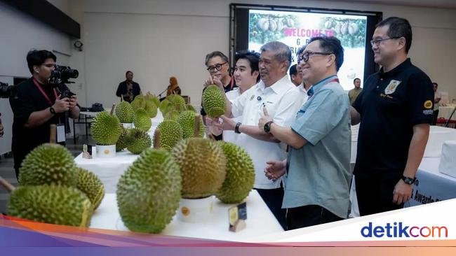 Warung Nasi Tutup gegara Hal Mistis hingga Durian Musang King Jadi Juara