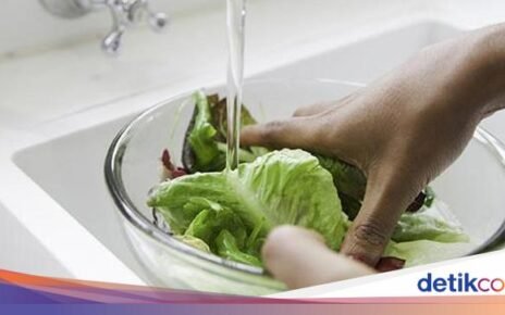 5 Tips Mudah Hilangkan Pestisida agar Sayuran Aman Dimakan
