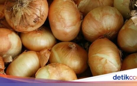 5 Fakta Bawang Bombai yang Tak Perlu Lagi Dipercaya