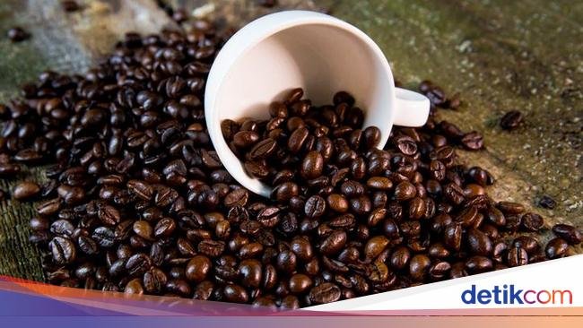 3 Fakta Kopi Muting khas Merauke yang Beraroma Tembakau