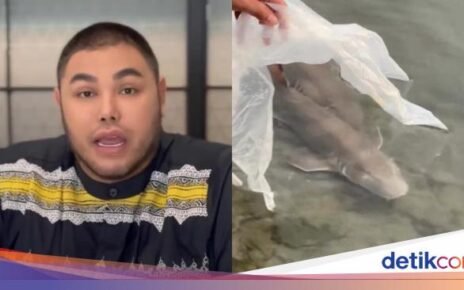 Lepaskan Hiu dari Restoran, Ivan Gunawan: Tidak Semuanya Bisa Dimakan!