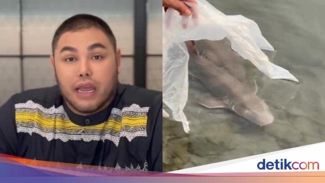 Lepaskan Hiu dari Restoran, Ivan Gunawan: Tidak Semuanya Bisa Dimakan!