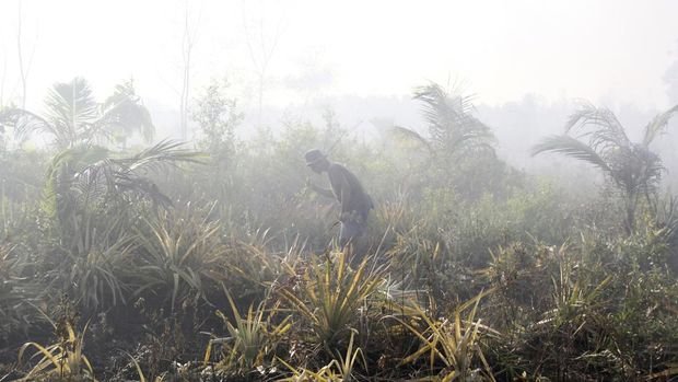 Seorang petani berusaha memadamkan api dengan ranting agar tidak merambat ke lahan kebunnya di  Kecamatan Dumai Timur, Dumai, Riau, Minggu (24/3/2024). Musim kemarau panjang yang melanda di daerah tersebut membuat kebakaran lahan semakin meluas dan kabut asap mulai menyelimuti daerah itu pada malam hari sementara pihak BPBD dan Manggala Agni terus berupaya memadamkan api di lokasi yang baru terbakar. ANTARA FOTO/Aswaddy Hamid