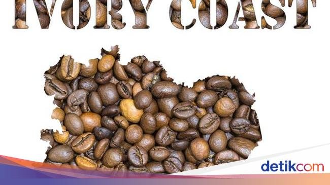10 Biji Kopi Paling Mahal di Dunia, Ada Kopi Luwak dari Indonesia!