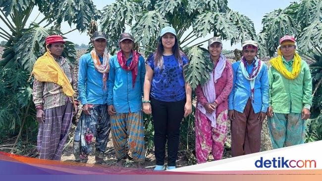 Lulusan S2 Alih Profesi Jadi Petani, Bisa Cuan hingga Rp 2,8 Miliar!