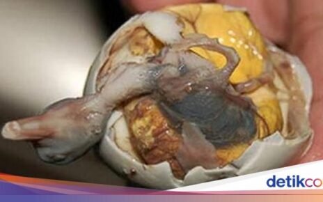 Ini Dia 6 Jajanan Kaki Lima Paling Aneh dan Ekstrem di Dunia