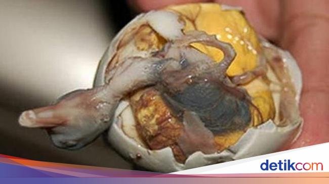 Ini Dia 6 Jajanan Kaki Lima Paling Aneh dan Ekstrem di Dunia