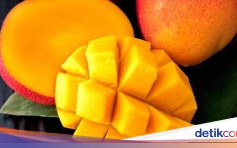 Gokil! 10 Mangga Termahal di Dunia Harganya Ada yang Rp 5,6 Juta/Kg