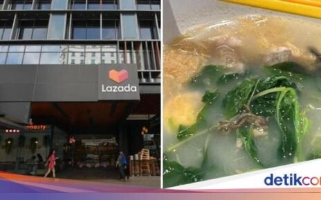 Pelanggan Protes Ada Kadal di Sup, Pihak Resto Bilang Itu Ikan Bilis
