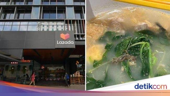 Pelanggan Protes Ada Kadal di Sup, Pihak Resto Bilang Itu Ikan Bilis