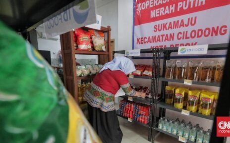 Persiapan Koperasi Desa Merah Putih Jelang Diluncurkan Prabowo