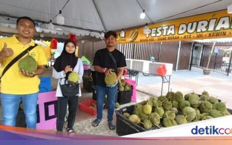 Gokil! Petani Durian Gen Z Raup Untung Hingga Rp 19,2 M