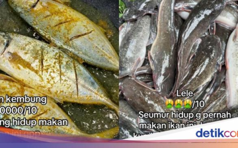 Ngakak! Wanita Ini Ogah Makan Ikan yang Wajahnya Jelek