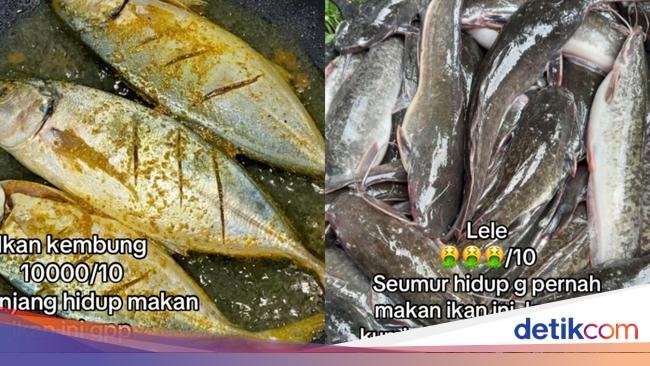 Ngakak! Wanita Ini Ogah Makan Ikan yang Wajahnya Jelek