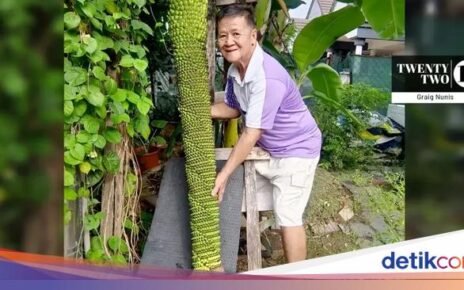 Pria Ini Kaget Pohon Pisangnya Tumbuh hingga Ribuan Sisir