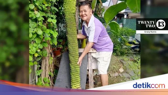 Pria Ini Kaget Pohon Pisangnya Tumbuh hingga Ribuan Sisir