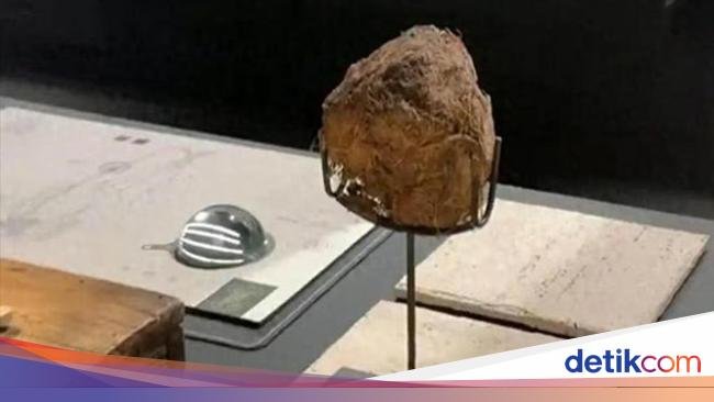 5 Resto China Kontroversial, Tawarkan Plasenta hingga Kotoran Gajah