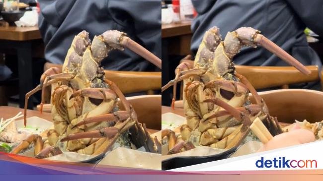 Viral Restoran Diduga Sajikan Lobster Hidup, Bikin Netizen Marah