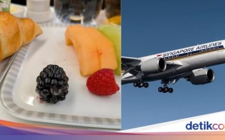 Sudah Bayar Mahal, Penumpang Kelas Bisnis Kecewa Dapat Makanan Berjamur