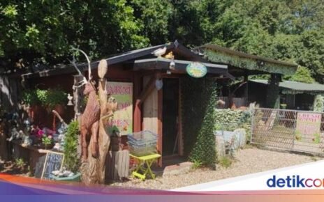 Pemilik Toko Kelontong Rugi Rp 21 Juta, Daging hingga Susu Dicuri!