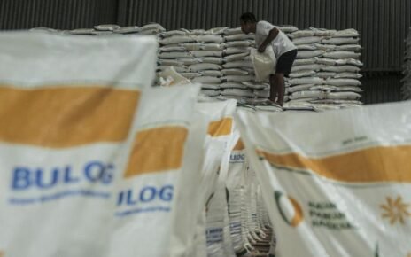 Bulog Punya 194 Ribu Ton Stok 'Beras Tua', DPR Minta Segera Dilepas