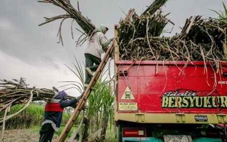 Danantara Siap Serap Gula Petani Lokal, Harga Minimal Rp14.500 per Kg