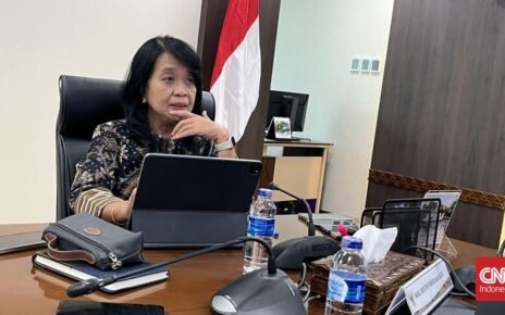 Kementerian PU Berhenti Bangun IKN Tahun Depan, Kenapa?